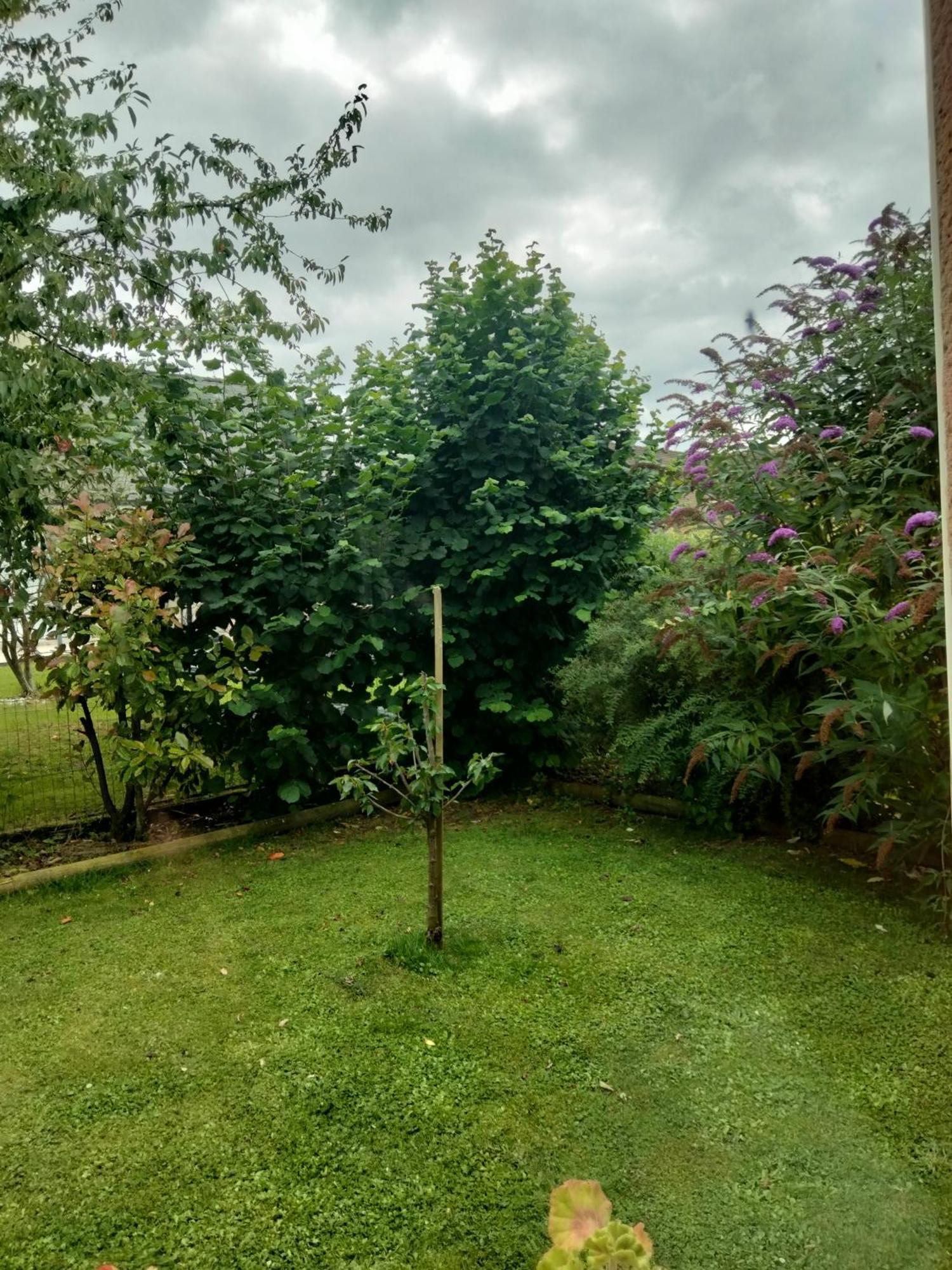 Homestay Les Hunaudieres